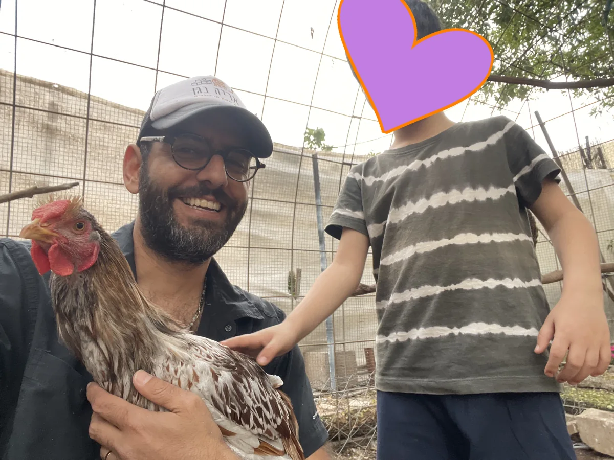 אריה וילד במפגש עם תרנגולת