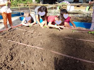 122535786_140768684445057_7330280059871256066_n