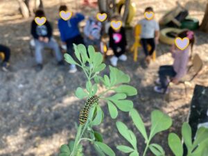 WhatsApp Image 2021-08-14 at 15.39.32