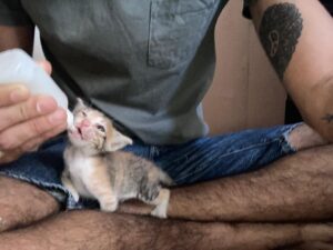 WhatsApp Image 2021-08-14 at 15.39.32 (7)