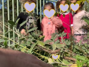 WhatsApp Image 2021-08-14 at 16.27.20 (1)