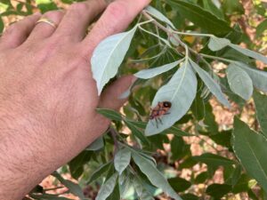 WhatsApp Image 2021-08-14 at 16.27.20